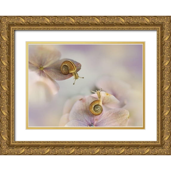 Van Deelen, Ellen 18x14 Gold Ornate Wood Framed with Double Matting Museum Art Print Titled - Little Snails....