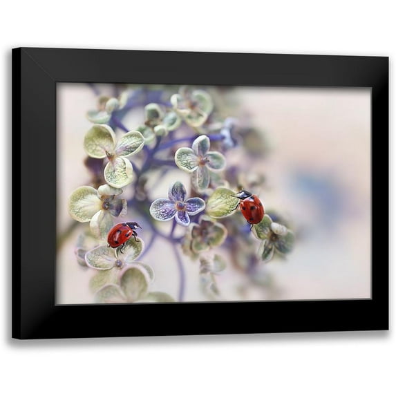 Van Deelen, Ellen 24x18 Black Modern Framed Museum Art Print Titled - Fragile