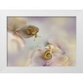 thumbnail image 1 of Van Deelen, Ellen 24x18 White Modern Wood Framed Museum Art Print Titled - Little Snails...., 1 of 4