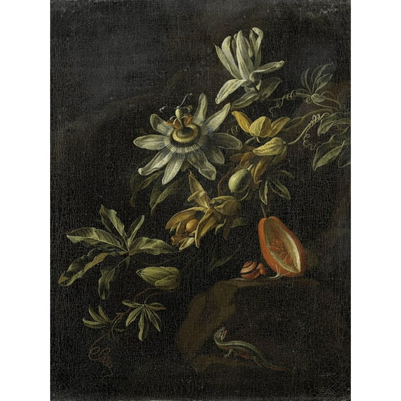 Van Den Broeck Still Life Passion Flowers Extra Large XL Wall Art Poster Print
