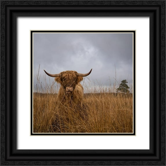 Van Den, Gert 26x26 Black Ornate Wood Framed with Double Matting Museum Art Print Titled - It Wasnt Me