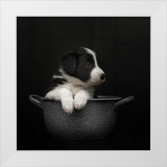 Van Den, Gert 26x26 White Modern Wood Framed Museum Art Print Titled - The New Dishwasher Took His Job Very Serious