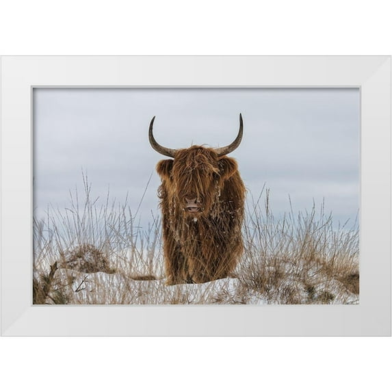 Den, Van 24x17 White Modern Wood Framed Museum Art Print Titled - Highlander in Snow