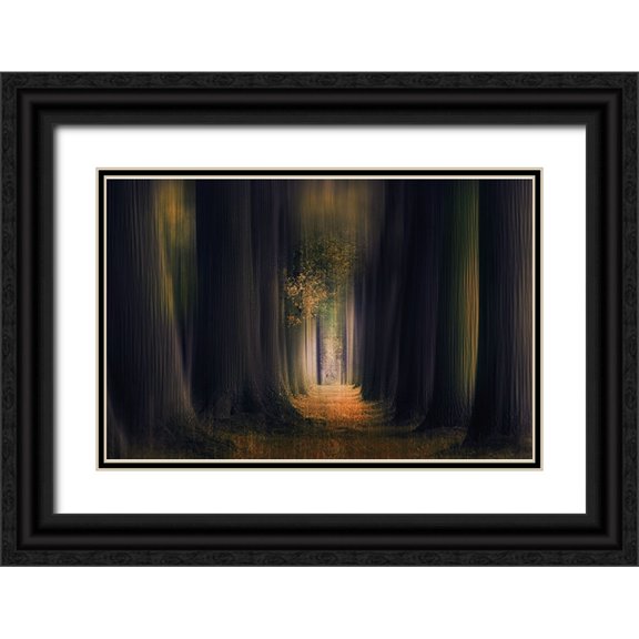 Van Der, Jan 18x13 Black Ornate Wood Framed with Double Matting Museum Art Print Titled - Infinity