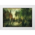 thumbnail image 1 of Van Der, Jan 32x22 White Modern Wood Framed Museum Art Print Titled - Gelateria, 1 of 4