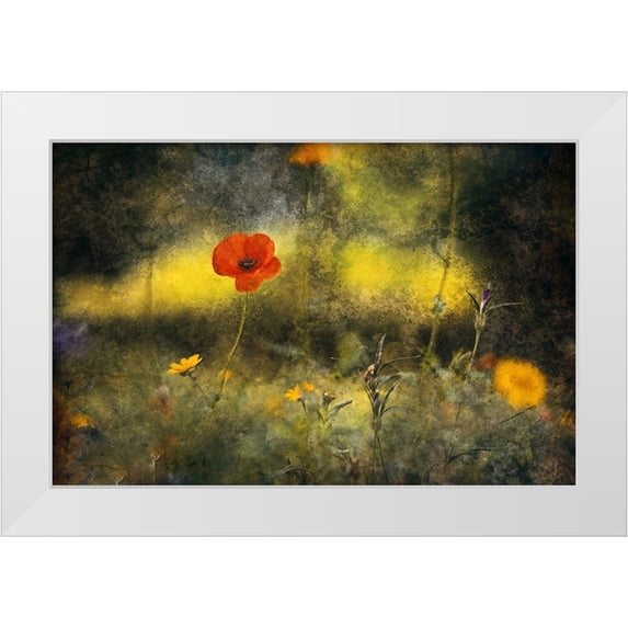 Van Der, Jan 32x22 White Modern Wood Framed Museum Art Print Titled - Poppy