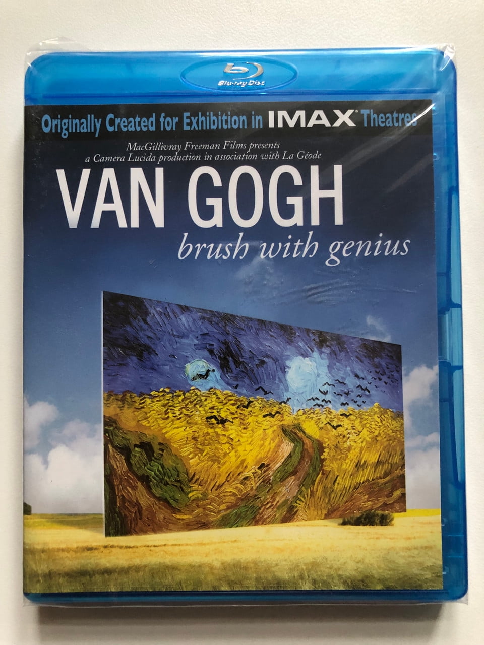 Van Gogh Brush With Genius