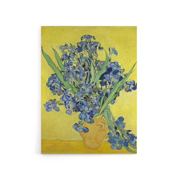 Van Gogh Irises Painting Canvas Wall Art Print 12X16"