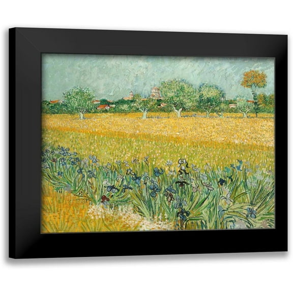 Van Gogh, Vincent 14x12 Black Modern Framed Museum Art Print Titled - Field with Irises near Arles