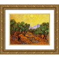thumbnail image 1 of Van Gogh, Vincent 14x12 Gold Ornate Wood Framed with Double Matting Museum Art Print Titled - Olive Trees With Yellow Sky And Sun, 1 of 4