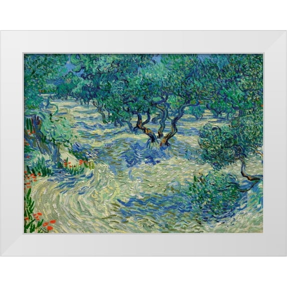 Van Gogh, Vincent 14x12 White Modern Wood Framed Museum Art Print Titled - Olive Orchard