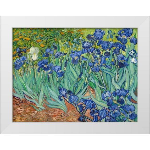Van Gogh, Vincent 32x25 White Modern Wood Framed Museum Art Print Titled - Irises 1889