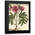 thumbnail image 1 of Van Houtte, Ludwig 12x14 Black Modern Framed Museum Art Print Titled - Giant Peony II, 1 of 5