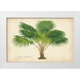 thumbnail image 1 of Van Houtteano, Horto 14x11 White Modern Wood Framed Museum Art Print Titled - Palm of the Tropics V, 1 of 4