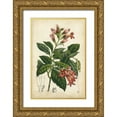 thumbnail image 1 of Van Houtteano, Horto 17x24 Gold Ornate Wood Framed with Double Matting Museum Art Print Titled - Coral Beauties III, 1 of 4