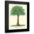 thumbnail image 1 of Van Houtteano, Horto 19x24 Black Modern Framed Museum Art Print Titled - Small Palm of the Tropics I, 1 of 5