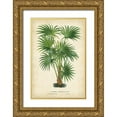 thumbnail image 1 of Van Houtteano, Horto 23x32 Gold Ornate Wood Framed with Double Matting Museum Art Print Titled - Palm of the Tropics IV, 1 of 4