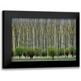thumbnail image 1 of Van Maastricht, Henk 18x13 Black Modern Framed Museum Art Print Titled - Layers, 1 of 5