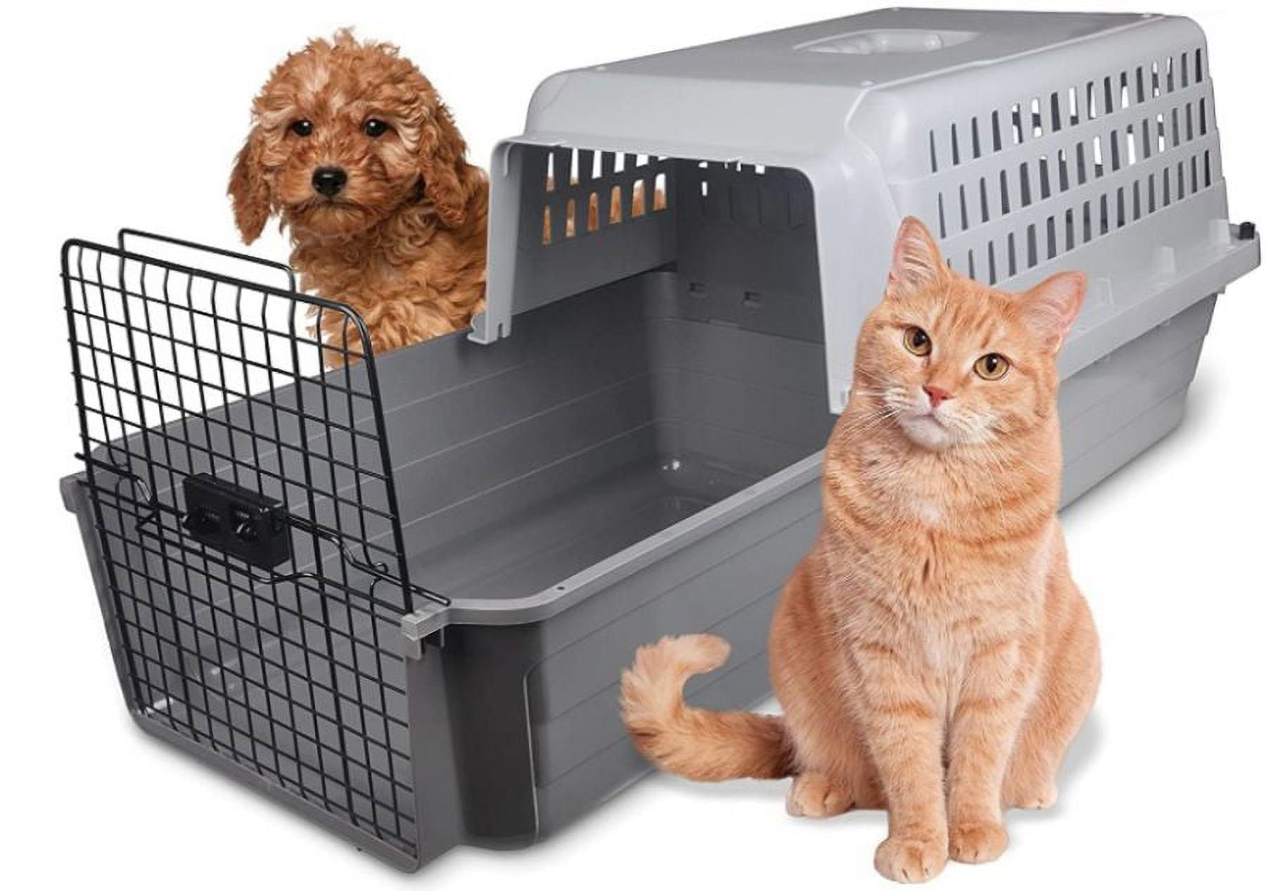 Cat carrier walmart in cheap store