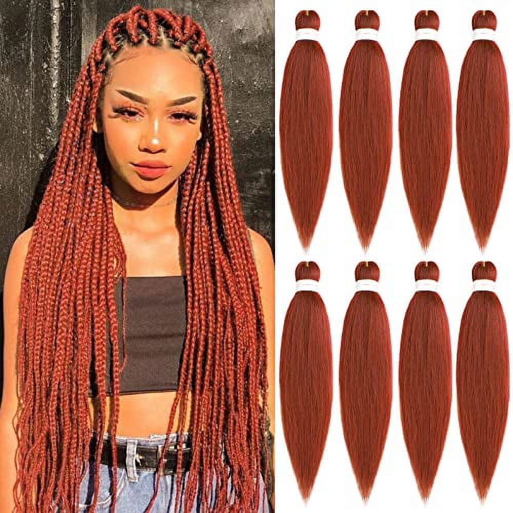 Van Ness Pets Odor Reducing Zeolite Cat Litter Box Air Filter, Fits All Van Ness Pans, 1 Count