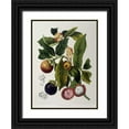 thumbnail image 1 of Van Nooten, Madame  25x32 Black Ornate Wood Framed with Double Matting Museum Art Print Titled - Mangosteen, 1 of 4