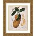 thumbnail image 1 of Van Nooten, Madame  25x32 Gold Ornate Wood Framed with Double Matting Museum Art Print Titled - Jackfruit, 1 of 4