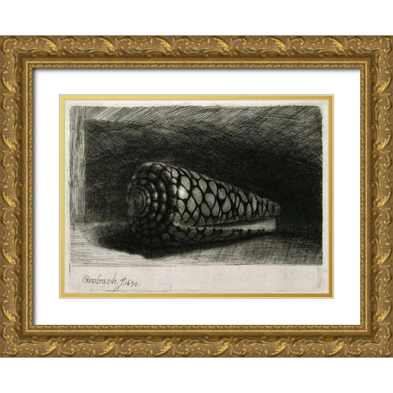 Van Rijn, Rembrandt 18x14 Gold Ornate Wood Framed with Double Matting Museum Art Print Titled - The Shell - Conus Marmoreus