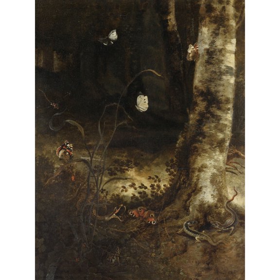 Van Schrieck Forest Floor Snake Lizards Insects Extra Large XL Wall Art Poster Print