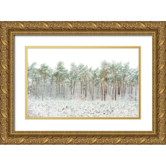 Van Son, Greetje 24x16 Gold Ornate Wood Framed with Double Matting Museum Art Print Titled - Snow World