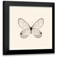 thumbnail image 1 of Van Swearingen, Debra 12x12 Black Modern Framed Museum Art Print Titled - Butterfly I BW Crop, 1 of 5