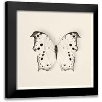 Van Swearingen, Debra 12x12 Black Modern Framed Museum Art Print Titled - Butterfly IV BW Crop