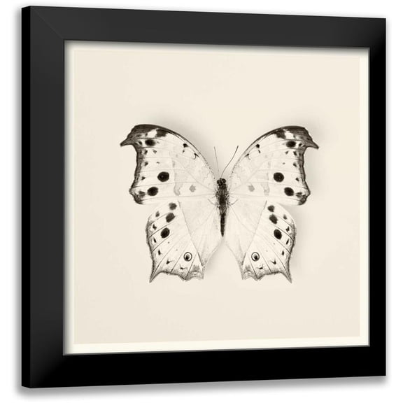Van Swearingen, Debra 12x12 Black Modern Framed Museum Art Print Titled - Butterfly IV BW Crop