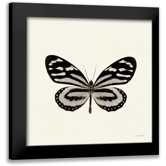 Van Swearingen, Debra 12x12 Black Modern Framed Museum Art Print Titled - Butterfly VIII BW Crop
