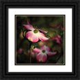 thumbnail image 1 of Van Swearingen, Debra 12x12 Black Ornate Wood Framed with Double Matting Museum Art Print Titled - Pink Dogwood II, 1 of 4