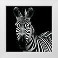 thumbnail image 1 of Van Swearingen, Debra 12x12 White Modern Wood Framed Museum Art Print Titled - Zebra II Square, 1 of 4