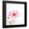 thumbnail image 1 of Van Swearingen, Debra 12x14 Black Modern Framed Museum Art Print Titled - Pale Cosmos II, 1 of 5