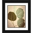 thumbnail image 1 of Van Swearingen, Debra 12x14 Black Ornate Wood Framed with Double Matting Museum Art Print Titled - Eucalyptus Color, 1 of 4