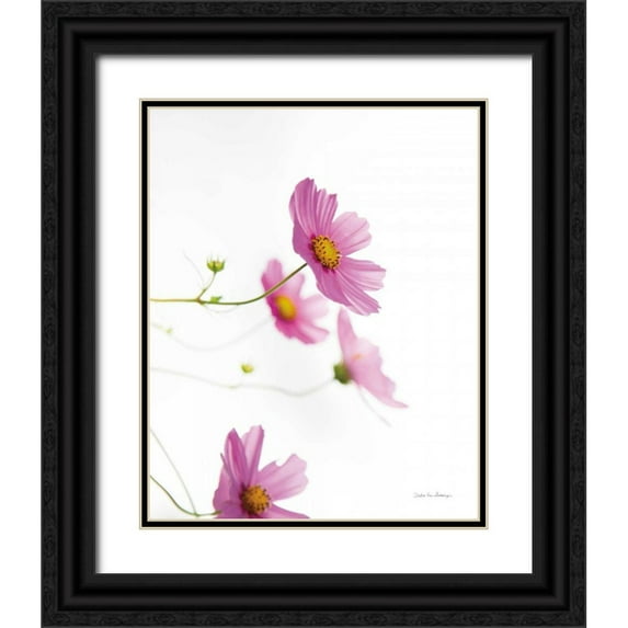 Van Swearingen, Debra 12x14 Black Ornate Wood Framed with Double Matting Museum Art Print Titled - Pale Cosmos I