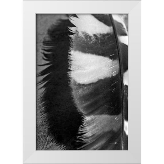 Van Swearingen, Debra 13x18 White Modern Wood Framed Museum Art Print Titled - Feather Shadow III