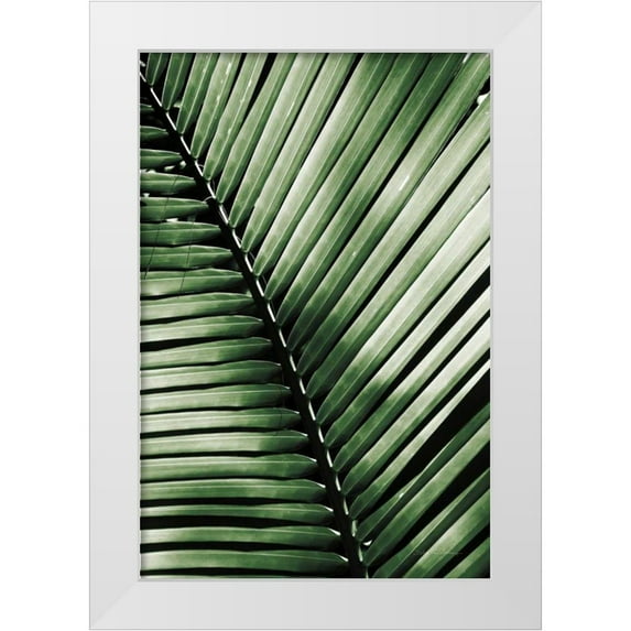 Van Swearingen, Debra 13x18 White Modern Wood Framed Museum Art Print Titled - Palm Frond I Green