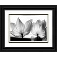 thumbnail image 1 of Van Swearingen, Debra 14x11 Black Ornate Wood Framed with Double Matting Museum Art Print Titled - Translucent Tulips V, 1 of 4