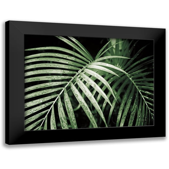 Van Swearingen, Debra 14x12 Black Modern Framed Museum Art Print Titled - Palm Fronds Green