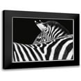 thumbnail image 1 of Van Swearingen, Debra 14x12 Black Modern Framed Museum Art Print Titled - Zebra III, 1 of 5