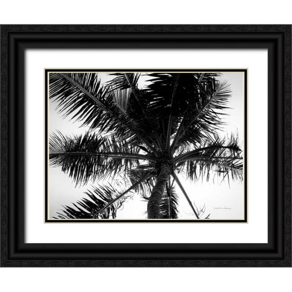 Van Swearingen, Debra 14x12 Black Ornate Wood Framed with Double Matting Museum Art Print Titled - Palm Tree Looking Up III