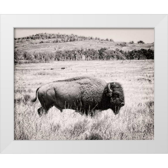 Van Swearingen, Debra 14x12 White Modern Wood Framed Museum Art Print Titled - Buffalo I BW