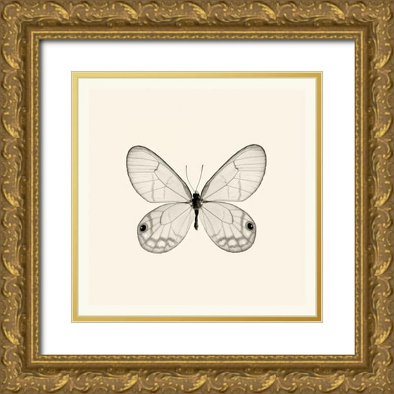 Van Swearingen, Debra 15x15 Gold Ornate Wood Framed with Double Matting Museum Art Print Titled - Butterfly I BW Crop