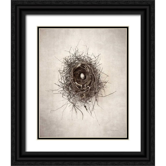 Van Swearingen, Debra 15x18 Black Ornate Wood Framed with Double Matting Museum Art Print Titled - Nest I