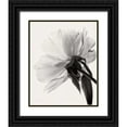 thumbnail image 1 of Van Swearingen, Debra 15x18 Black Ornate Wood Framed with Double Matting Museum Art Print Titled - Translucent Peony IIIBW, 1 of 4