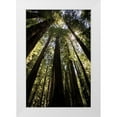 thumbnail image 1 of Van Swearingen, Debra 17x24 White Modern Wood Framed Museum Art Print Titled - The Stand, 1 of 4