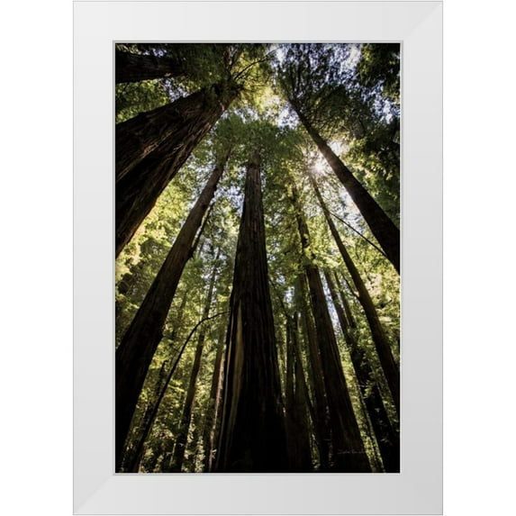 Van Swearingen, Debra 17x24 White Modern Wood Framed Museum Art Print Titled - The Stand